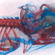 Illustration for article titled Some of the Years Most Startling Science Images